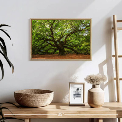 Oak