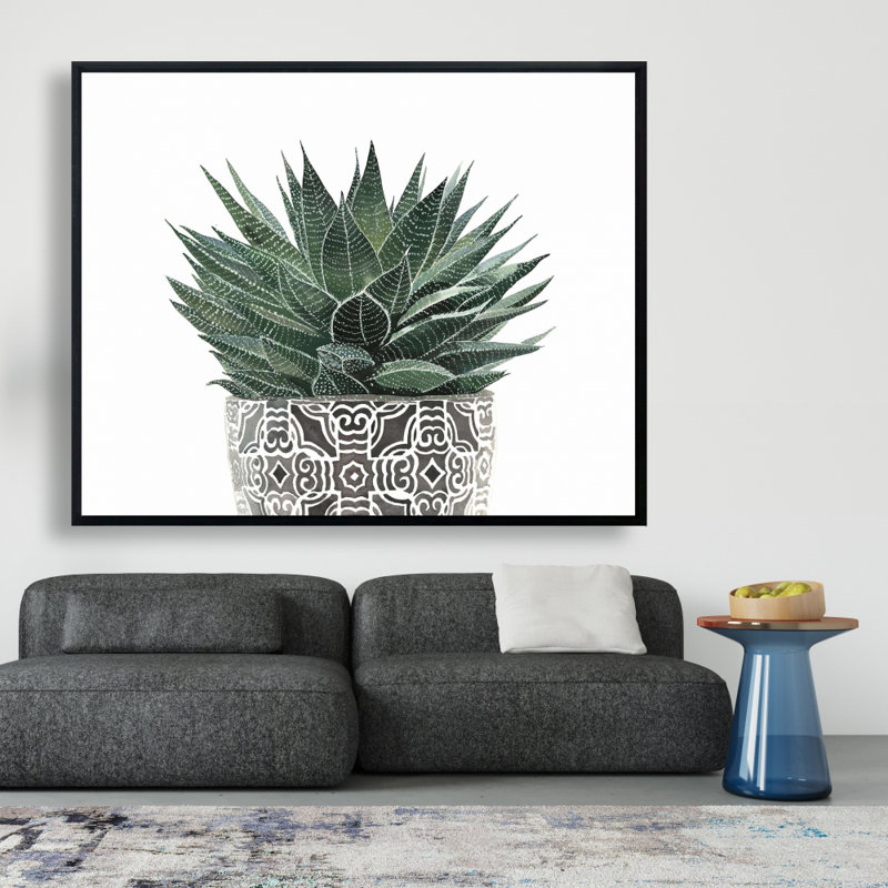 Zebra Plant Succulent Print On Canvas