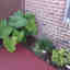 Customer photo 2 of 3