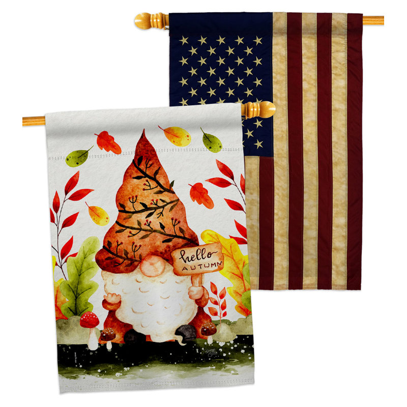 Drapeaux 40 x 28 pi