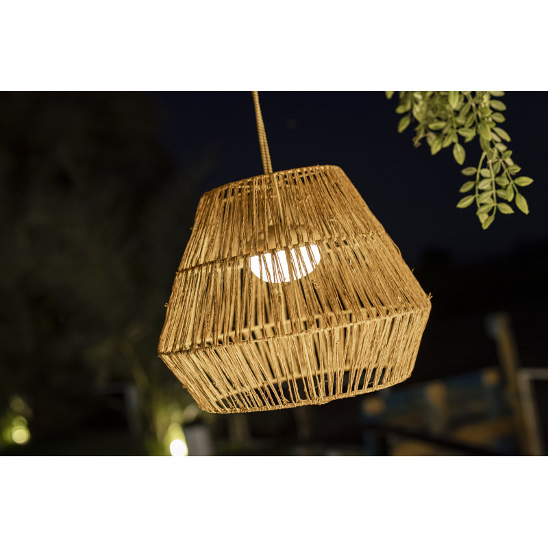 Luminaire suspendu d'extérieur à DEL