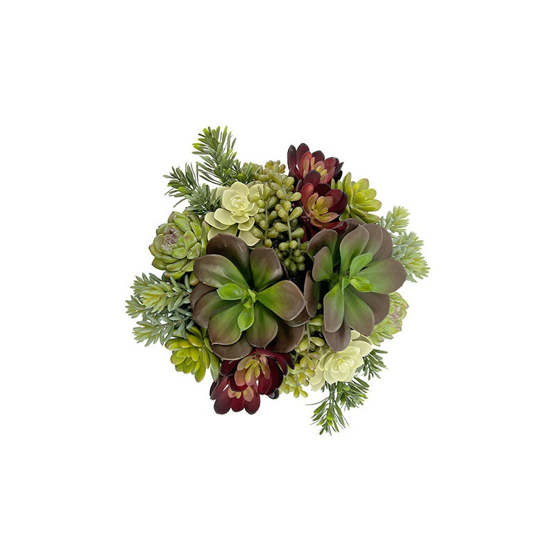 12" Succulent Arrangement