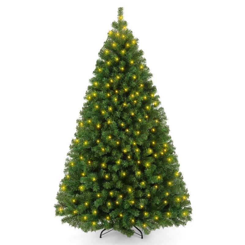6' Lighted Spruce Christmas Tree