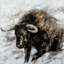 Gold Bull - peinture sur toile tendue-1956068296