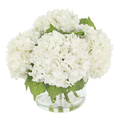 Hortensias en vase