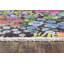 Tapis Allston-1480332995