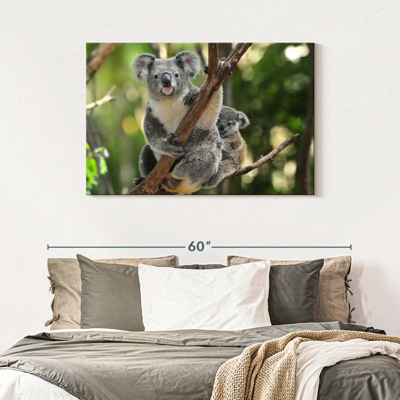 Australian Koala Bears, 30" H x 45" W