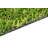 6X8 Economic Turf Rug