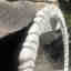 Customer photo 1 of 4