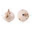Petrini Tuscan Small Round Iron Vase