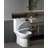 Poseidon Dual-Flush Elongated One-Piece Toilet (Seat Included)-92267705