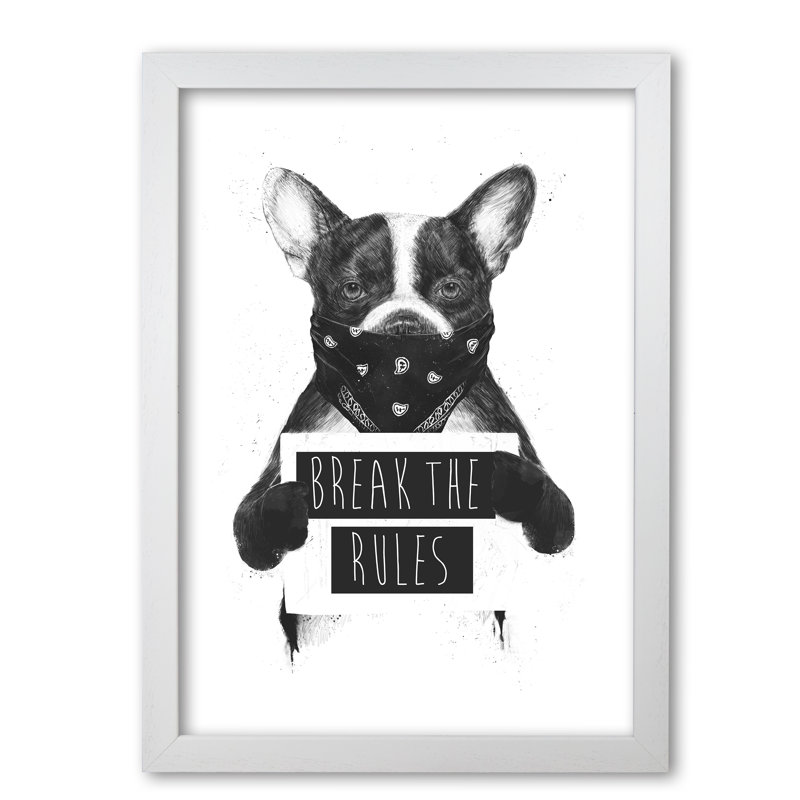 Rebel Bulldog by Mercedes Lopes Charro - Single Picture Frame Rectangle Print, 59.4 cm H x 42 cm W x 5 cm D, White Grain