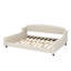 Canapé-lit avec capitonnage profond et construction durable pour les chambres d'amis ou les espaces de vie-1027236400