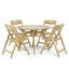 Westminster Teak Solid Wood Patio Folding Chair