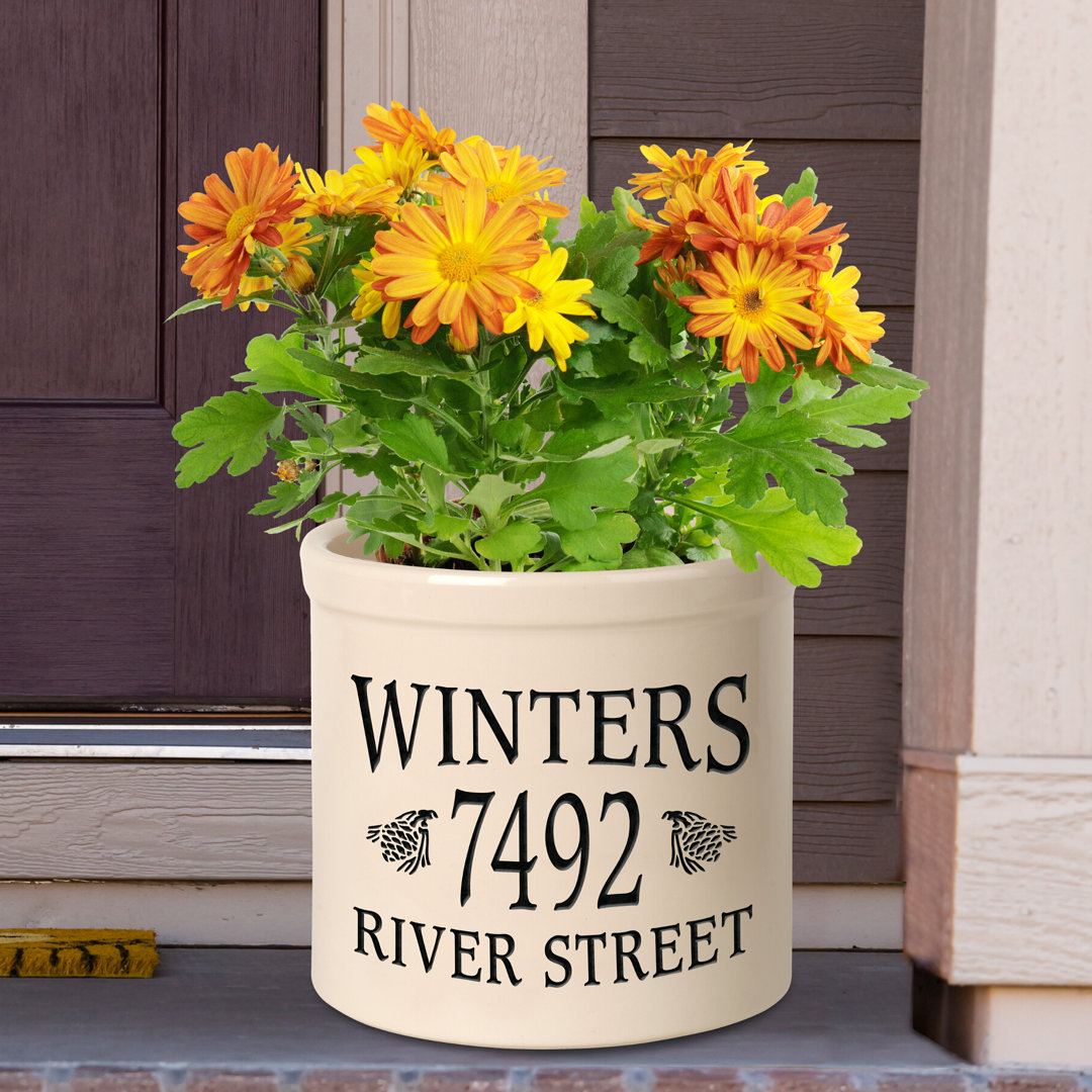 Lafe Ceramic Pot Planter August Grove®