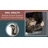 Ascentials by FurHaven Royal Suite Cat Tower (68”), Multi-Level Indoor Cat Tree