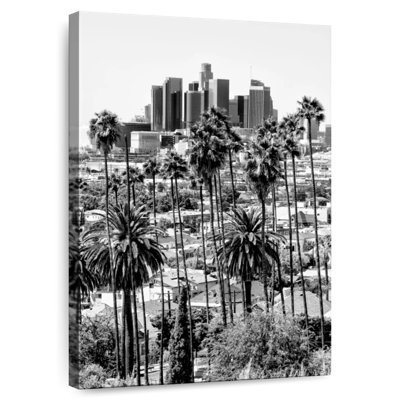 Sireci Black California LA