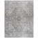 Amyrose Oriental Light Gray/Ivory Area Rug