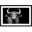 « cow stare », reproduction de photo sur papier encadrée-192932116-241962201