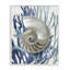 «Shell Coral Beach Blue» par Caroline Kelly - reproduction d'art-367380273-367380272