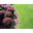 Vinyl Fencing-89002012-89002010