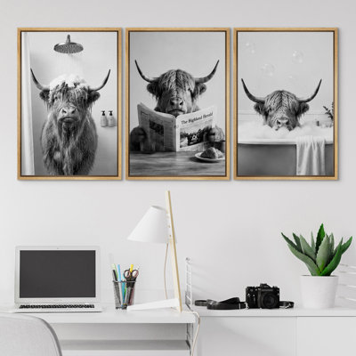 Highland Cow