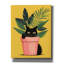Toile épique «Cat in the plant» par Andreas Magnusson, graffiti épique, 12 po x 16 po-1789117915