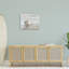 Conque reposant sur un endroit calme-69571346-69571351