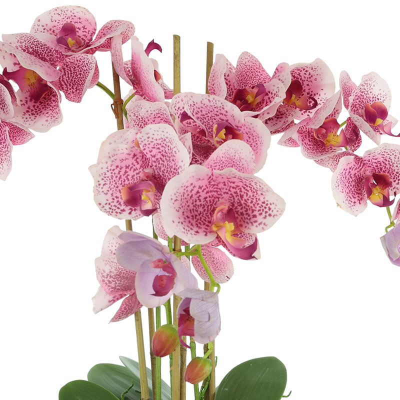 Arrangement de fleurs d'orchidée en polysilk Cairo en pot, Rose/mauve