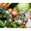 Garden Friends Salt And Pepper Shaker Set