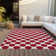 Chayden rug with non-slip backing
