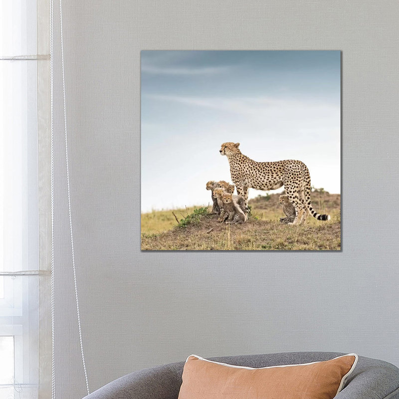 Colour Cheetah & Cubs by Klaus Tiedge - Print on Canvas, 45.72 cm H x 45.72 cm W x 3.175 cm D, Wrapped Canvas