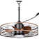 Selva 23" Outdoor Smart Black Caged Ceiling Fan with Light and Remote