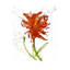 Gestural Florals VII Print by Paul Ngo-26729661-26729662