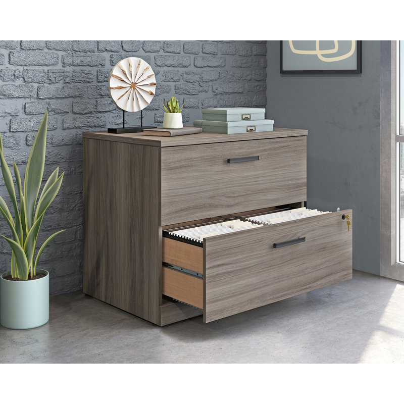 Harriss Lateral File Ua Ne, Hudson Elm