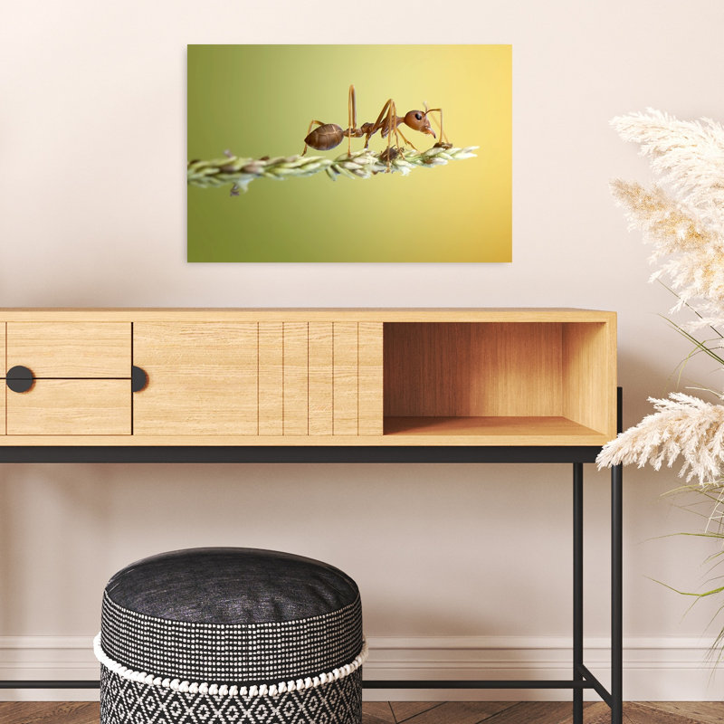 Red Ant On Plant Vibrant Contemporary Ant Nature Plant Wall Art Print by Fauzan Maududdin - Print, 40.64cm H x 60.96cm W