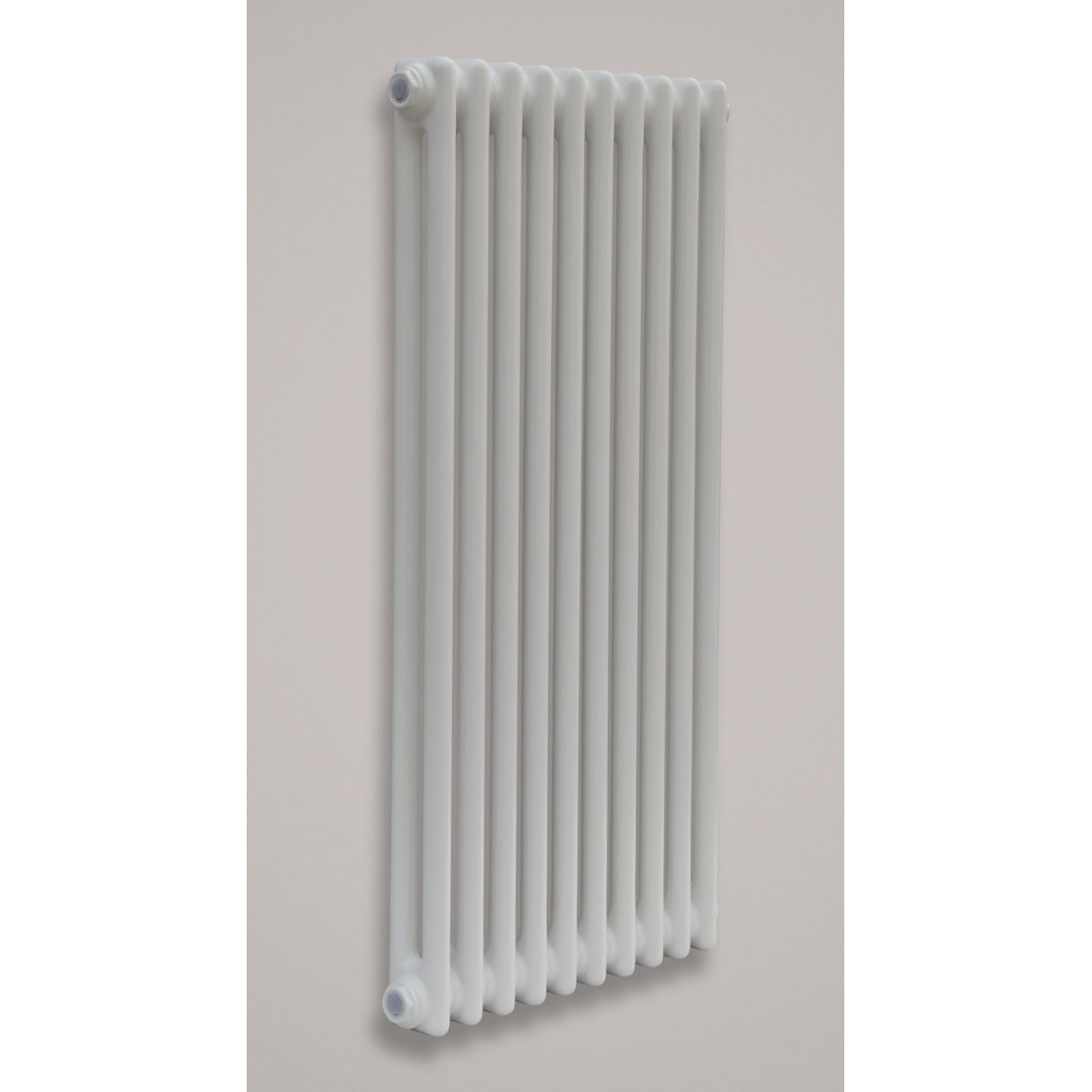 Micaela Vertical Traditional Colosseum Radiator