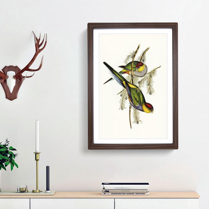 Red-Capped Parakeets by Elizabeth Gould - Picture Frame Painting Print, 36cm H x 27cm W x 2cm D, Walnut Framed