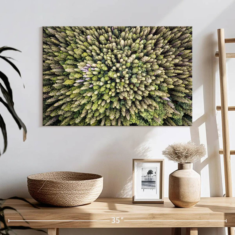 Alvord Evergreen Pine Trees, 16" H x 24" W
