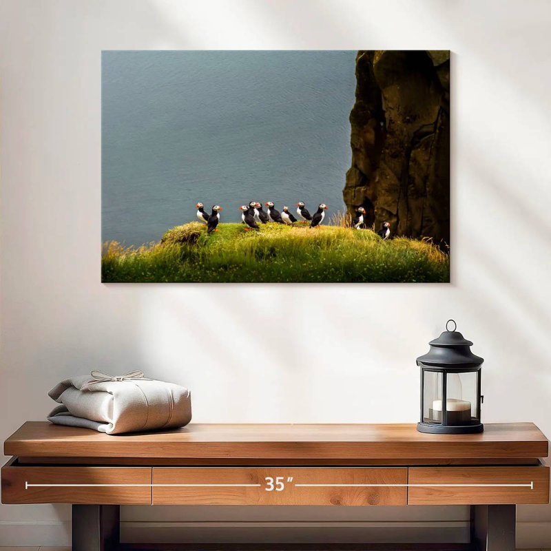 Crowle Cliff Puffin Birds
