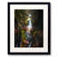 Pewitt's Nest Print by Scott Norris-65825660-65850548