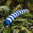 Big Joe Pool Noodle Float-70734580