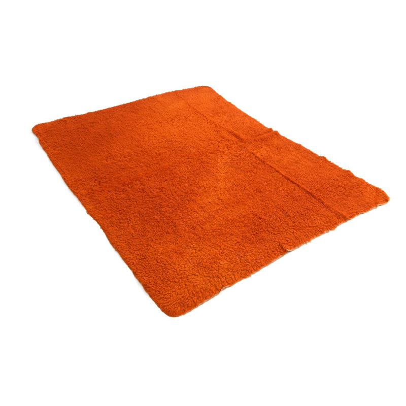 Iraheta Orange Rug