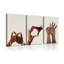 3 Piece Wrapped Canvas Print-1484286089