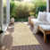  Machine Washable Indoor/Outdoor Chayden ACN1020 Gold Rug