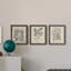 Antique Black and White Botanical VII - Ensemble de 3 reproductions d'art sur toile-282181156-282180057