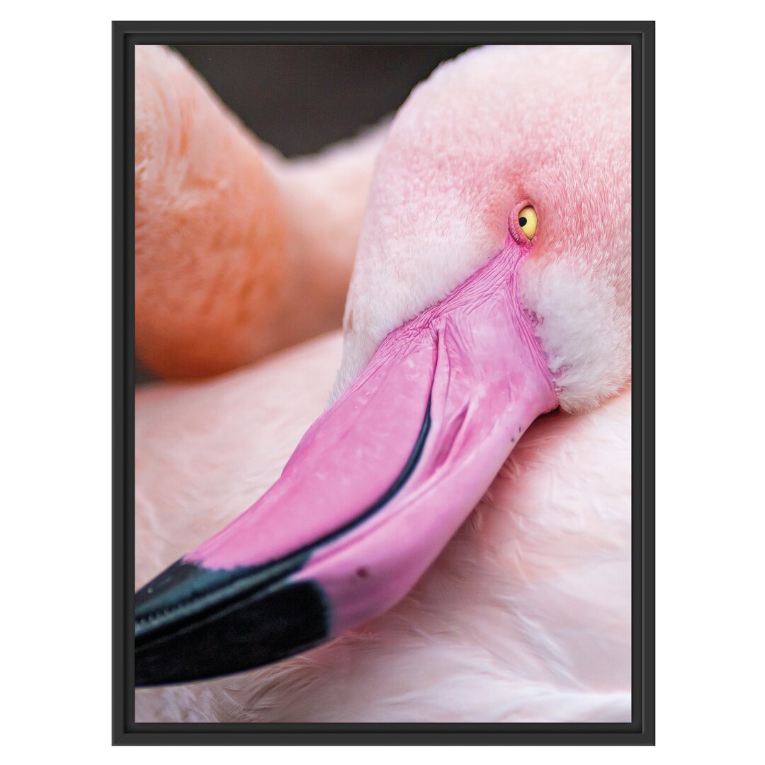 Gerahmtes Wandbild schöner Flamingo