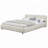 Low Platform Padded Bed-214314535