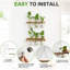 Terrarium mural suspendu avec support en bois