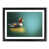 Black Framed selected